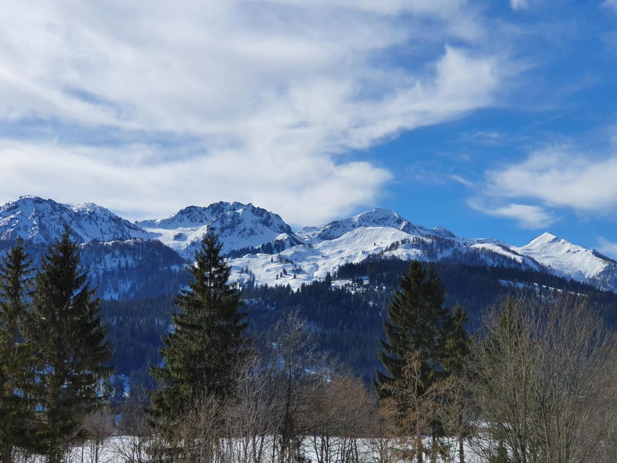 Ferienwohnung App. Mountain View Fieberbrunn Zewnętrze zdjęcie
