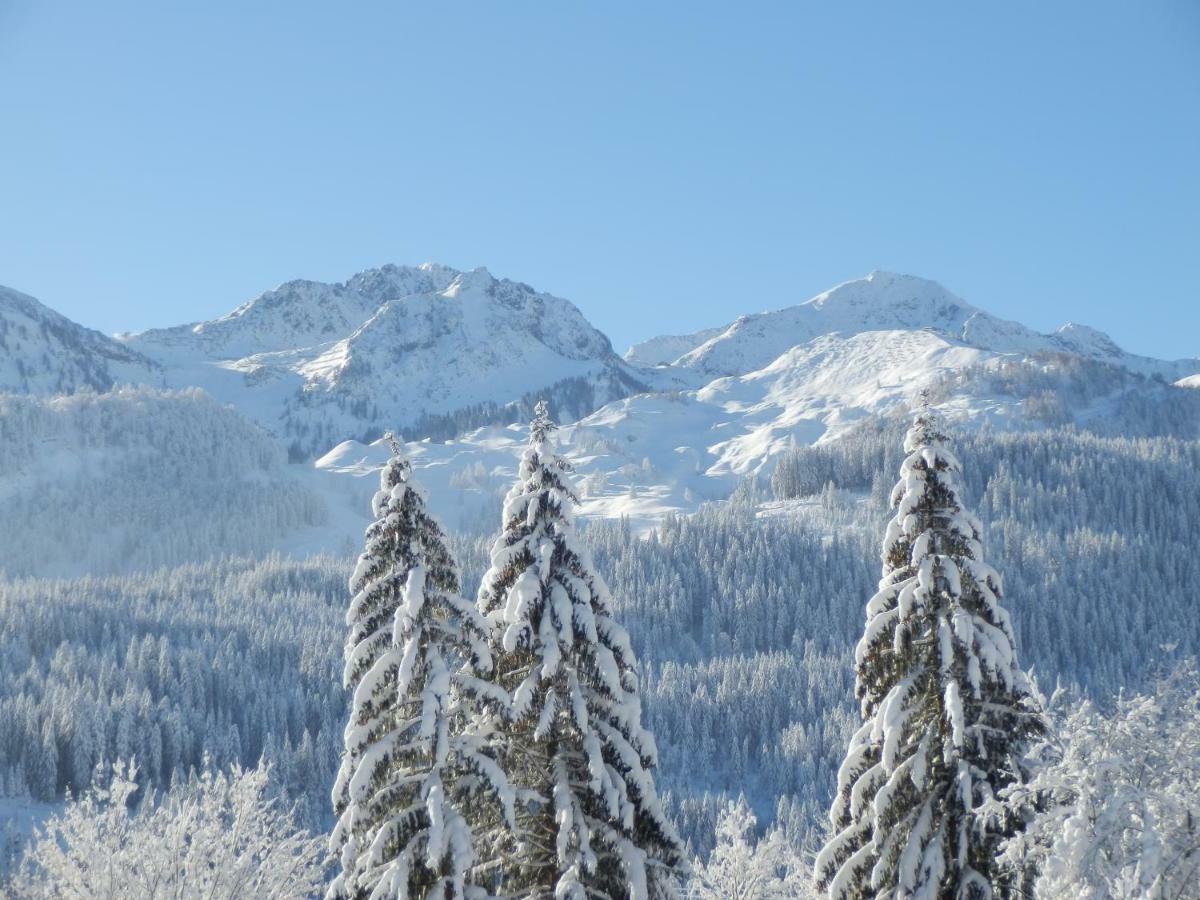 Ferienwohnung App. Mountain View Fieberbrunn Zewnętrze zdjęcie