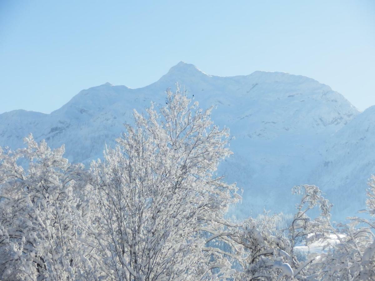 Ferienwohnung App. Mountain View Fieberbrunn Zewnętrze zdjęcie